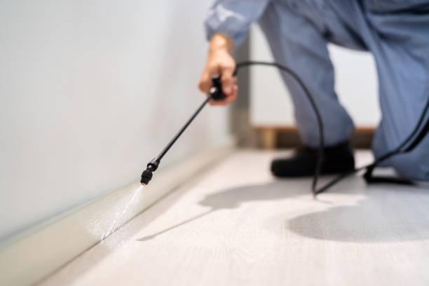 Licensed Pest Control service in Thompson, ND - Show Me Pest Control