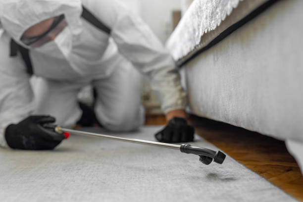 Professional Ant Control technician working in Thompson, ND