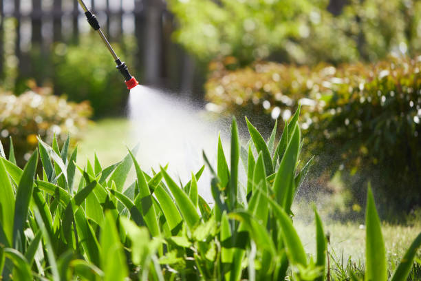 24/7 Emergency Ant Control experts in Thompson, ND